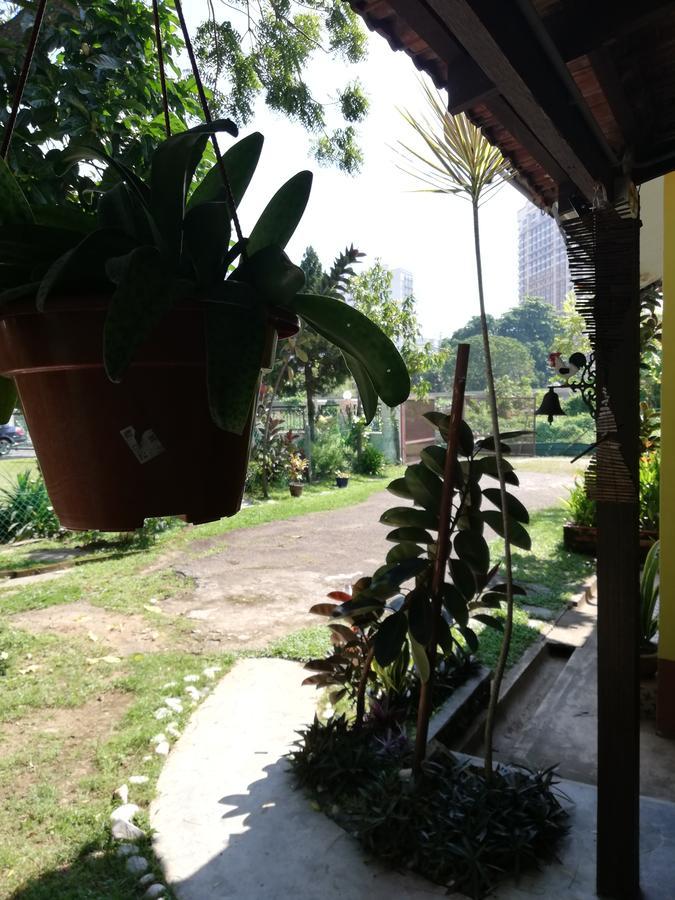 Coco * Malacca